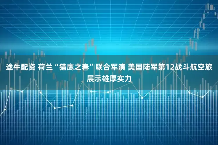 途牛配资 荷兰“猎鹰之春”联合军演 美国陆军第12战斗航空旅展示雄厚实力