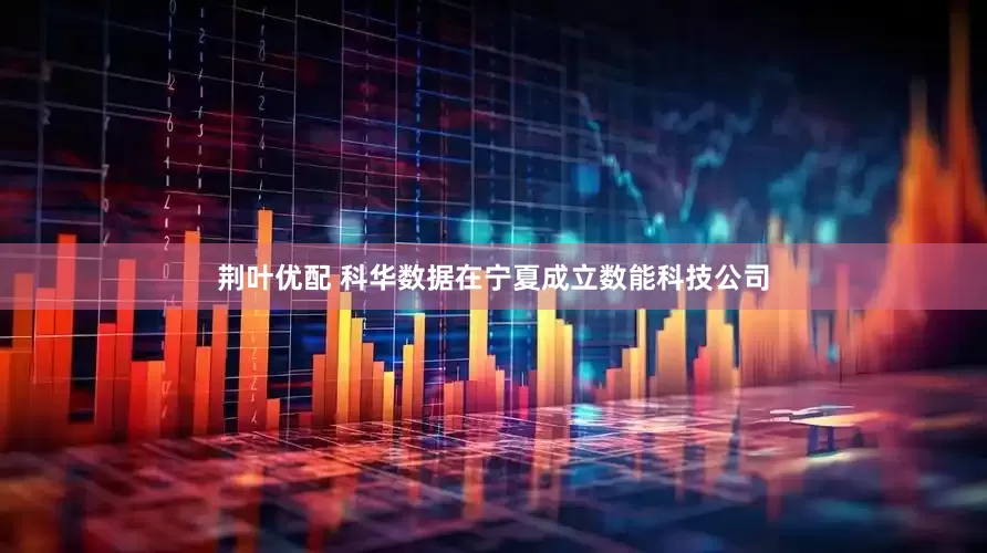 荆叶优配 科华数据在宁夏成立数能科技公司