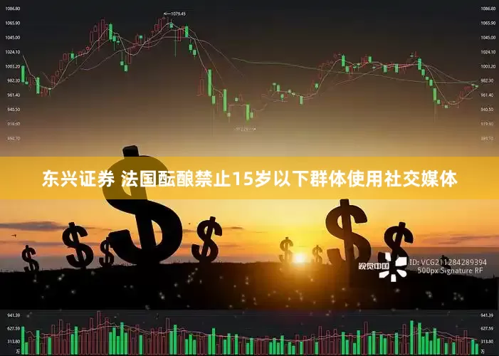 东兴证券 法国酝酿禁止15岁以下群体使用社交媒体
